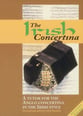 IRISH CONCERTINA cover